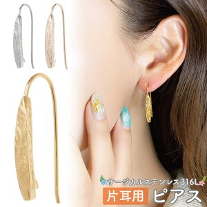 ANZT[VbvPIENA vvsAX tbNsAX fB[X T[WJXeX316L Ўp 1 nCAWG[ nW T[t{[h V[g{[h T[tB XN