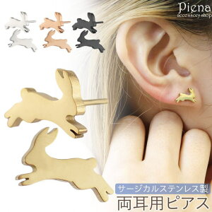 y10OFFN[|I12/11()1:59܂ŁzANZT[VbvPIENA sAX fB[X T[WJXeX  ETM e rbg  Aj} VGbg Vv ɗD 