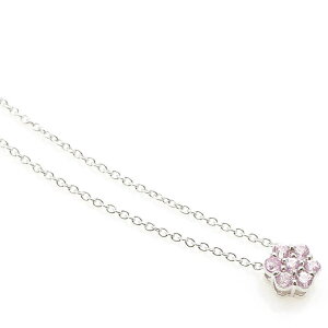 y10OFFN[|I11/11 ()1:59܂ŁzANZT[VbvPIENA lbNX y_g Vo[925 fB[X sNTt@C t[   IV i ANZT[