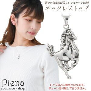 ANZT[VbvPIENA y_ggbv fB[X Y Vo[925 gbv̂ `[ n z[X  Aj} Vv ɗD AM[Ή i IV 킢