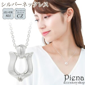 yyI25OFFN[|IzANZT[VbvPIENA lbNX y_g fB[X Vo[925 L[rbNWRjA n z[XV[ LL ɗD AM