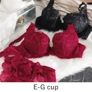 fran de lingerie GRACE Limited Edition Premium �O���[�X�v���~�A�� �R�[�f�B�l�[�g�u���W���[E65-G85�J�b�v �C���i�[�E����