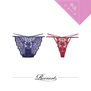 Dazzy Pi V[c tBI[ R[h [X obN IׂV[c [Reinest] | fB[X  Pi 傫TCY pc ZNV[WF[ Ci[ ^K \O tobN eB[