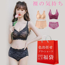 nijibra ブラショ−ツ2セット入り下着福袋 色お任せ ブラショ−ツ福袋 ブラショ−ツセット ブラセット 下着 ノンワイヤ−ブラ 韓国ファッション 裸の気持ち 小さいサイズ イベント