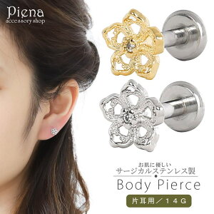 ANZT[VbvPIENA {fB[sAX fB[X 14G T[WJXeX  t[ ɗD AM[Ή Ўp 1 ɂ tςȂ  p 