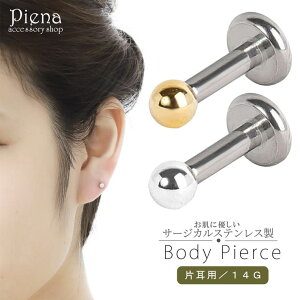 ANZT[VbvPIENA {fB[sAX fB[X 14G T[WJXeX {[ a3mm ɗD AM[Ή Ўp 1 ɂ tςȂ  