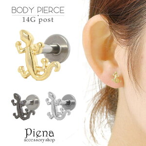 y10OFFN[|I12/11()1:59܂ŁzANZT[VbvPIENA {fBsAX Y fB[X 14G T[WJXeX gJQ ঒ Aj}  ɗD AM[ 