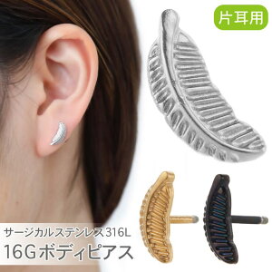 y10OFFN[|I11/27()1:59܂ŁzANZT[VbvPIENA {fBsAX Y fB[X T[WJXeX316L Ўp 1 H tFU[ 16G 1.2mm Xg[go[x tbg