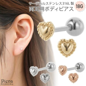 ANZT[VbvPIENA {fBsAX 18G fB[X T[WJXeX316L n[g ~j  ɏ Vv   ɗD AM[Ή A IV 킢