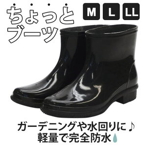 BACKYARD FAMILY Cu[c ʔ j Y  ubN ƃu[c V[gCu[c ƌC JC C Ɨp |K[fjOx_ Sh ƒ؉ ȂC Ȃ C