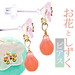 y10OFFN[|I11/27()1:59܂ŁzBACKYARD FAMILY ԂƂXg[hsAX ANZT[