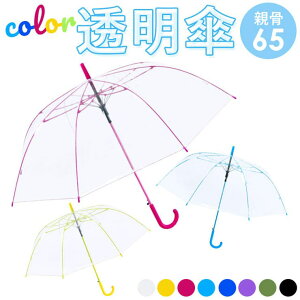 y10OFFN[|I11/11 ()1:59܂ŁzBACKYARD FAMILY ATTAIN 65cmPOE J[OX/_ 