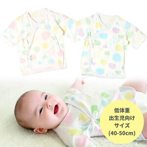 BACKYARD FAMILY ̏do_Z xr[