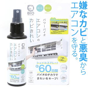 y10OFFN[|I12/11()1:59܂ŁzBACKYARD FAMILY p[oCIGAR̃Jrꂢ ANZT[