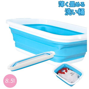 BACKYARD FAMILY ߂􂢉 oXEgCE|