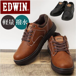 BACKYARD FAMILY EDWIN Y Eh Xj[J[ V[YEC