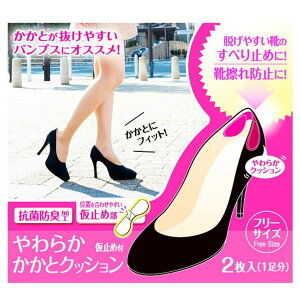 y10OFFN[|I11/11 ()1:59܂ŁzBACKYARD FAMILY ƃNbV 炩ƃNbV CCpbh ׂ~ CC h~ ʔ TCY  pbhNbV炩R h