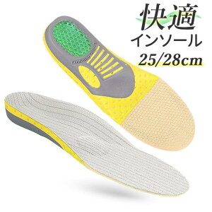 y5OFFN[|I10/9() 1:59܂ŁIzBACKYARD FAMILY C\[ Ռz ~ pmyinsole9 V[YEC