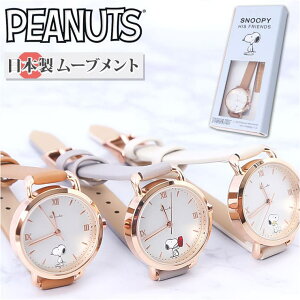 BACKYARD FAMILY Xk[s[ XxgEHb` ANZT[