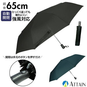 y10OFFN[|I11/11 ()1:59܂ŁzBACKYARD FAMILY ATTAIN AeC J ~jP 65cm 