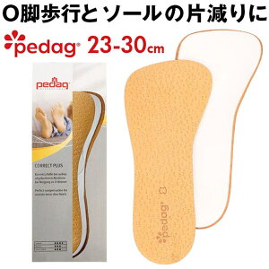 BACKYARD FAMILY Pedag �y�_�b�N �R���N�g�v���X �V���[�Y�E�C