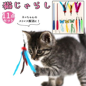 BACKYARD FAMILY 猫じゃらし 11点セット kcattoy11 ファッション雑貨