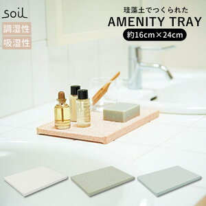 �y10��OFF�N�[�|���I8/11(��)1:59�܂ŁzBACKYARD FAMILY soil �\�C�� AMENITY TRAY �Q��E�C���e���A