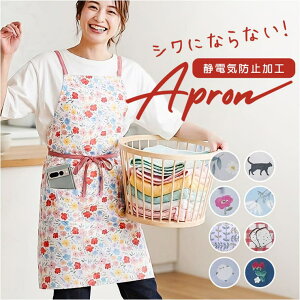 BACKYARD FAMILY toridori �V���[�g�G�v���� �L�b�`��