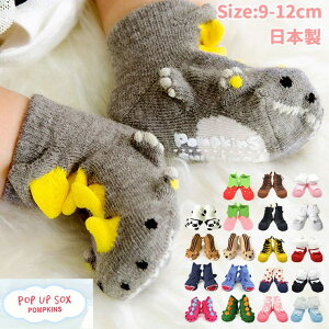 BACKYARD FAMILY POMPKINS |bvAbv xr[\bNX xr[