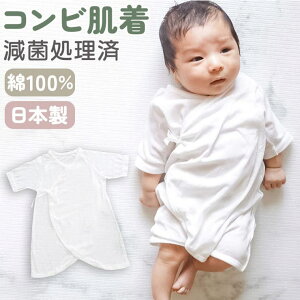 BACKYARD FAMILY { Vg̔@ŋۃRr xr[