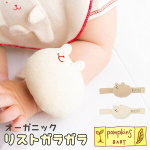 y10OFFN[|I12/11()1:59܂ŁzBACKYARD FAMILY POMPKINS BABY I[KjbN XgKK xr[