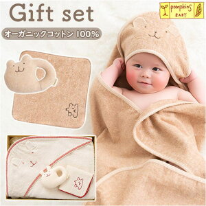 BACKYARD FAMILY POMPKINS BABY I[KjbN MtgZbg xr[