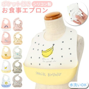 BACKYARD FAMILY HpGv wdg19110401 xr[