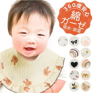 BACKYARD FAMILY X^C 悾ꂩ K[[ xr[