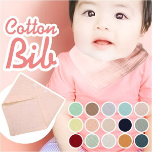 BACKYARD FAMILY 悾ꂩ X^C xr[