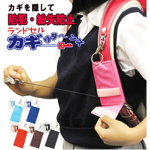 y10OFFN[|I12/11()1:59܂ŁzBACKYARD FAMILY P[X L[P[X hZ [t   h~ ʔ w q  Lт h uYʊwhƃL[`F[ L[z