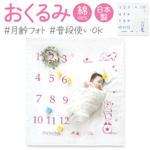 y5OFFN[|I10/9() 1:59܂ŁIzBACKYARD FAMILY 3dK[[Pbg io[hbO xr[