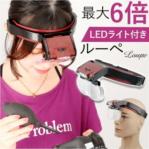 BACKYARD FAMILY [y LED Cgt pmy81001b 