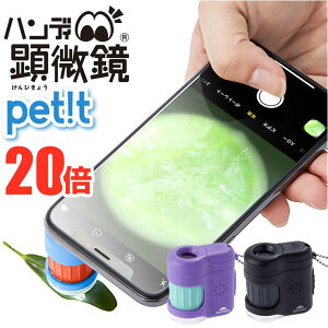 y10OFFN[|I11/27()1:59܂ŁzBACKYARD FAMILY nfB petit RXT1142 