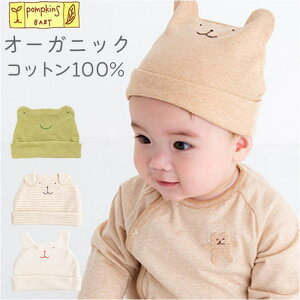 BACKYARD FAMILY POMPKINS BABY I[KjbNLbv xr[