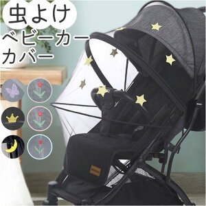 BACKYARD FAMILY xr[J[Jo[ ᒠ 悯 킢 xr[