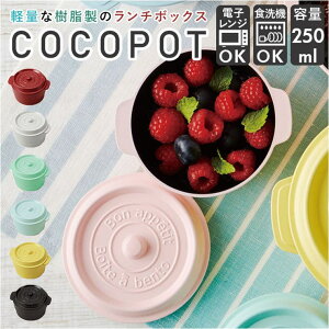 y10OFFN[|I12/11()1:59܂ŁzBACKYARD FAMILY COCOPOT RR|bg~j HELb`pi
