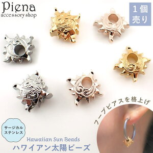 y10OFFN[|I12/11()1:59܂ŁzANZT[VbvPIENA nCAWG[ r[Y 1 z T t[vsAXp JX^ fB[X Y T[WJXeX316L 