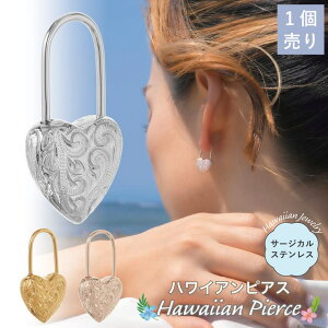 ANZT[VbvPIENA sAX t[v fB[X T[WJXeX316L Ўp 1 n[g 싞  JM nCAWG[ nW g XN[ ɗD A