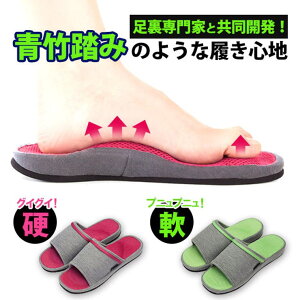 y5OFFN[|I9/24()1:59܂ŁzBACKYARD FAMILY NT_ alphax At@bNX ʔ Kӂ݂ NXbp fB[X c{ ڎItBXItBXT_ 