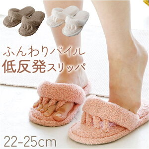 BACKYARD FAMILY ӂpC̒ᔽ5{wXbp QECeAG