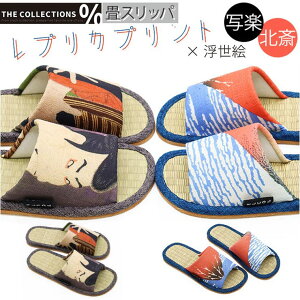 BACKYARD FAMILY E̖V[Y k ʊy Xbp QECeAG