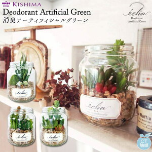 BACKYARD FAMILY eclia GNA LA[eBtBVO[ CTG} QECeAG