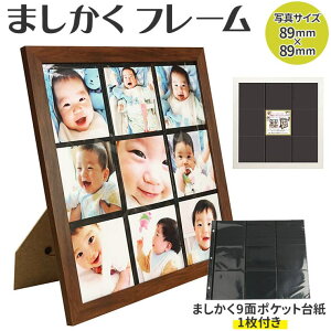 BACKYARD FAMILY �܂������t���[���i414�A���o���䎆�t�j �Q��E�C���e���A�G��