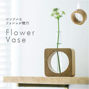 y10OFFN[|I11/27()1:59܂ŁzBACKYARD FAMILY t[x[X ֑} QECeAG